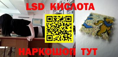apvp Можга
