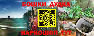 apvp Можга