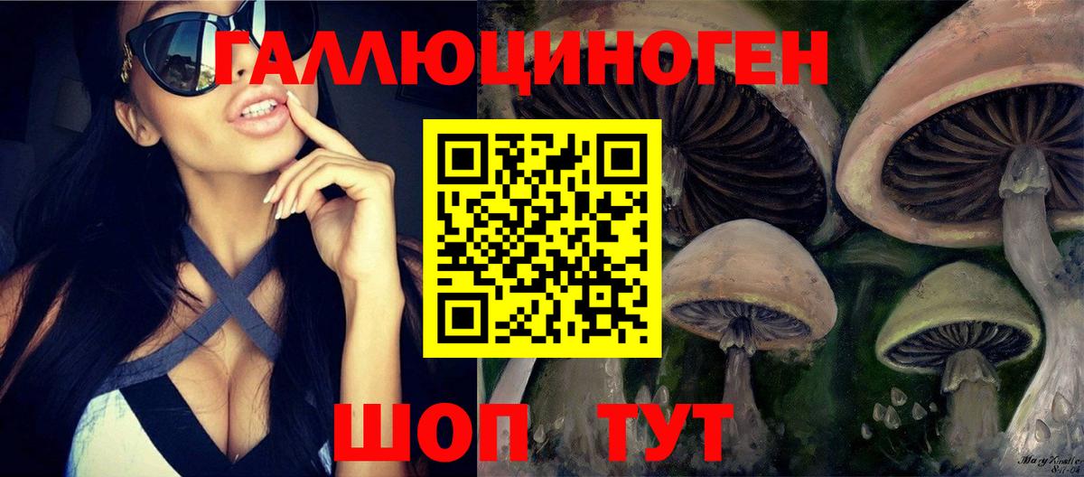 Ревда  Галлюциногенные грибы ЛСД  Галлюциногенные грибы Psilocybine cubensis  Вход с VPN 